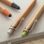 BENJAMIN bambusa pildspalva