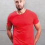 Tee Jays Luxury vīriešu t-krekls